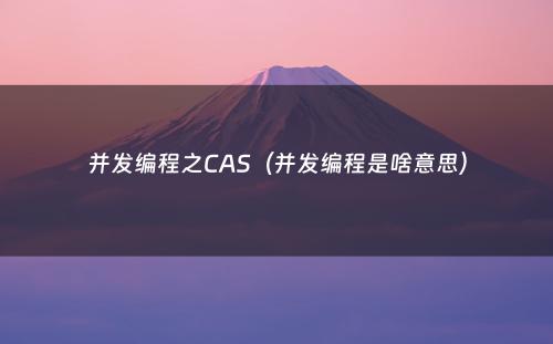 并发编程之CAS（并发编程是啥意思）