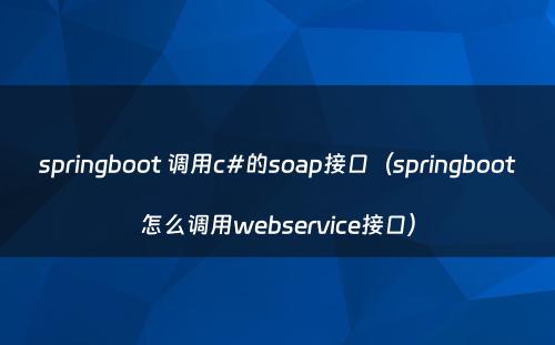 springboot 调用c#的soap接口（springboot怎么调用webservice接口）