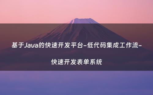 基于Java的快速开发平台-低代码集成工作流-快速开发表单系统