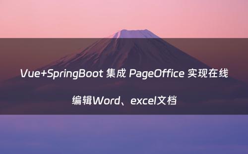 Vue+SpringBoot 集成 PageOffice 实现在线编辑Word、excel文档