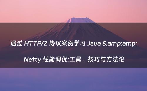 通过 HTTP/2 协议案例学习 Java & Netty 性能调优:工具、技巧与方法论