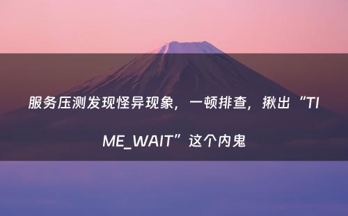 服务压测发现怪异现象，一顿排查，揪出“TIME_WAIT”这个内鬼