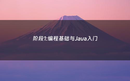 阶段1:编程基础与Java入门