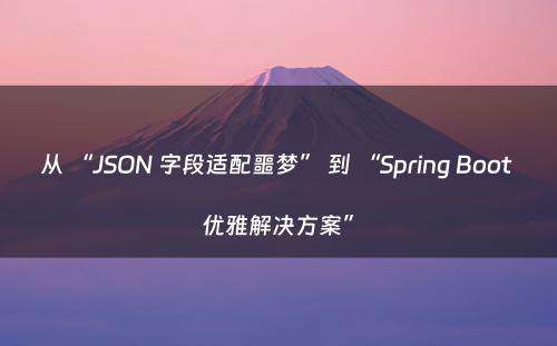 从 “JSON 字段适配噩梦” 到 “Spring Boot 优雅解决方案”