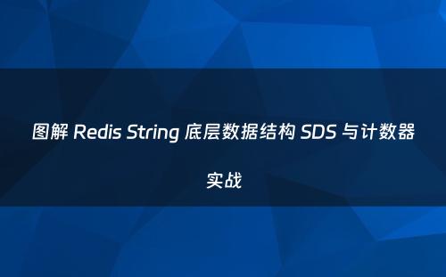 图解 Redis String 底层数据结构 SDS 与计数器实战
