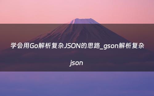 学会用Go解析复杂JSON的思路_gson解析复杂json