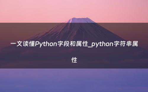一文读懂Python字段和属性_python字符串属性