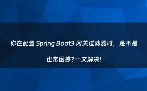 你在配置 Spring Boot3 网关过滤器时，是不是也常困惑?一文解决!