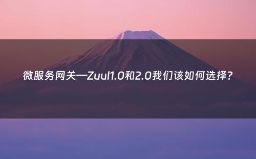 微服务网关—Zuul1.0和2.0我们该如何选择?