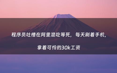 程序员吐槽在阿里混吃等死，每天刷着手机，拿着可怜的30k工资