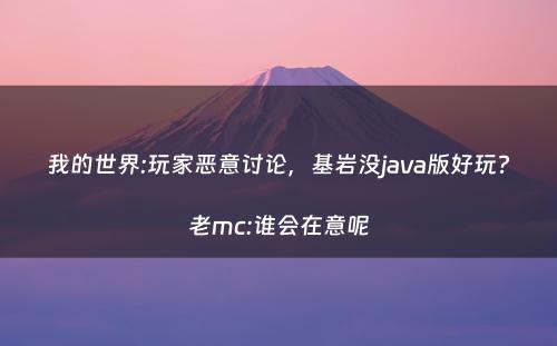 我的世界:玩家恶意讨论，基岩没java版好玩?老mc:谁会在意呢