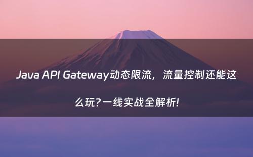 Java API Gateway动态限流，流量控制还能这么玩?一线实战全解析!