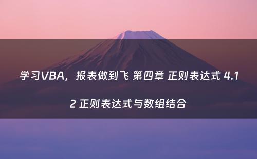 学习VBA，报表做到飞 第四章 正则表达式 4.12 正则表达式与数组结合