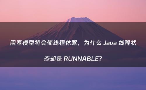 阻塞模型将会使线程休眠，为什么 Java 线程状态却是 RUNNABLE?