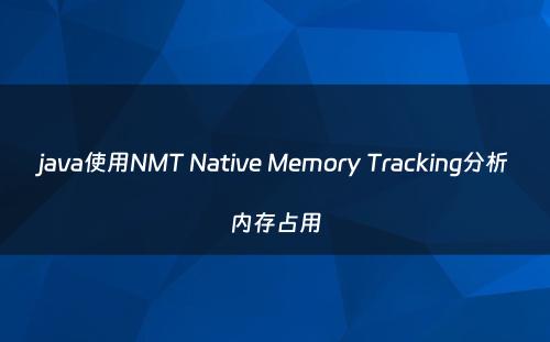 java使用NMT Native Memory Tracking分析内存占用