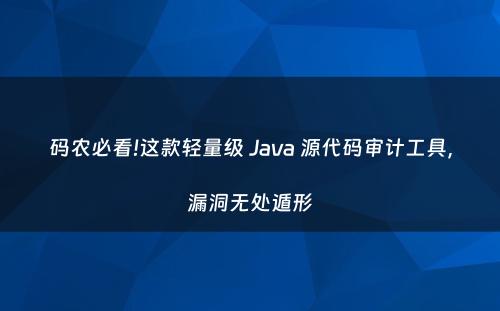 码农必看!这款轻量级 Java 源代码审计工具，漏洞无处遁形