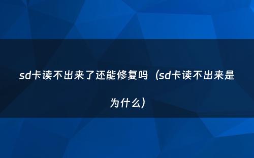 sd卡读不出来了还能修复吗(sd卡读不出来是为什么)