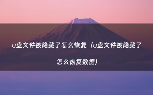 u盘文件被隐藏了怎么恢复(u盘文件被隐藏了怎么恢复数据)