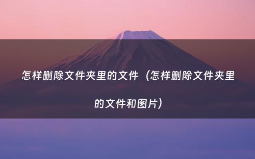 怎样删除文件夹里的文件(怎样删除文件夹里的文件和图片)