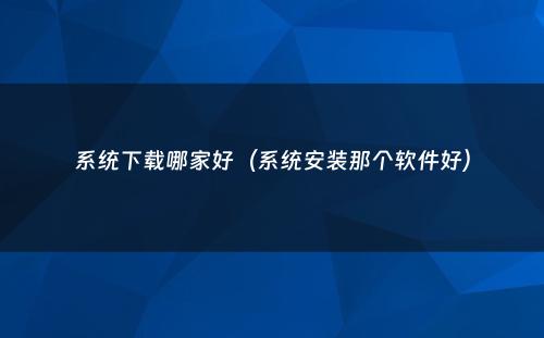 系统下载哪家好（系统安装那个软件好）