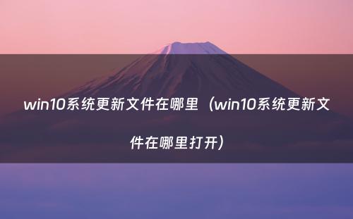 win10系统更新文件在哪里（win10系统更新文件在哪里打开）