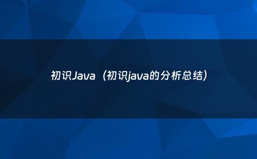 初识Java（初识java的分析总结）