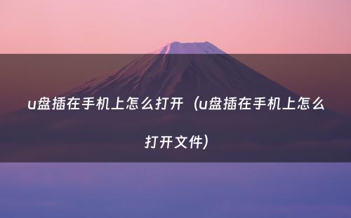 u盘插在手机上怎么打开(u盘插在手机上怎么打开文件)
