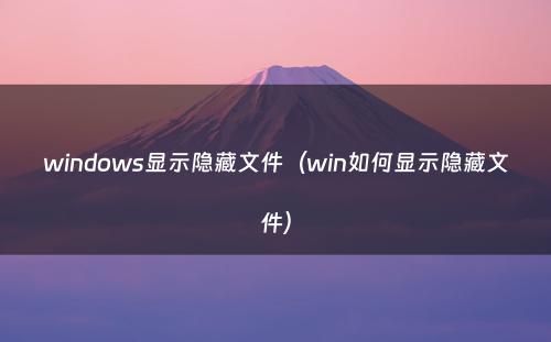 windows显示隐藏文件(win如何显示隐藏文件)