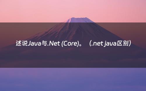 述说Java与.Net (Core)。（.net java区别）