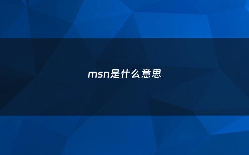 msn是什么意思
