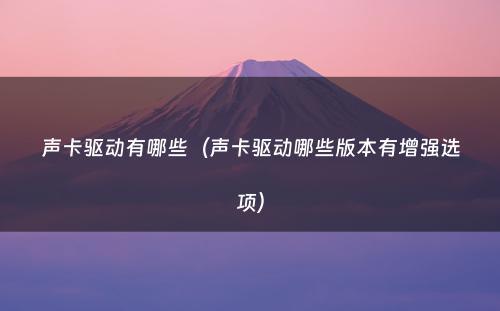声卡驱动有哪些(声卡驱动哪些版本有增强选项)