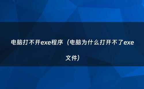 电脑打不开exe程序（电脑为什么打开不了exe文件）