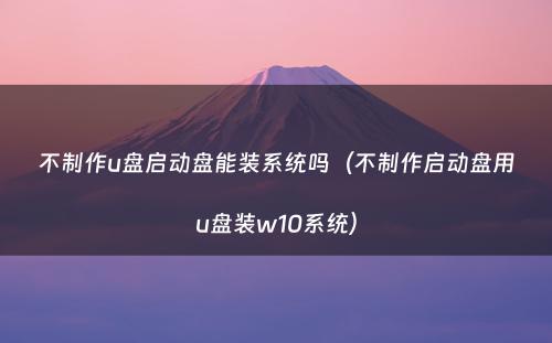 不制作u盘启动盘能装系统吗(不制作启动盘用u盘装w10系统)