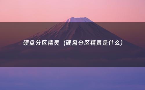 硬盘分区精灵（硬盘分区精灵是什么）