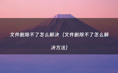 文件删除不了怎么解决（文件删除不了怎么解决方法）