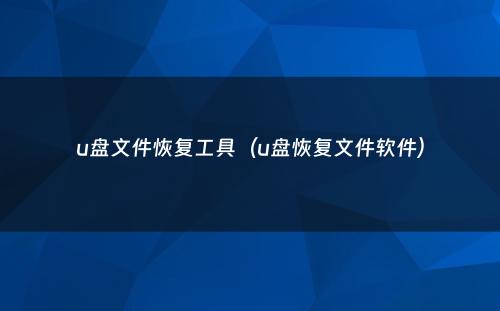 u盘文件恢复工具（u盘恢复文件软件）