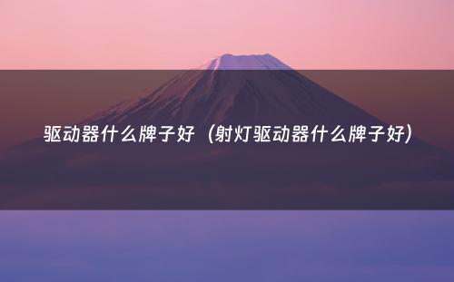 驱动器什么牌子好（射灯驱动器什么牌子好）
