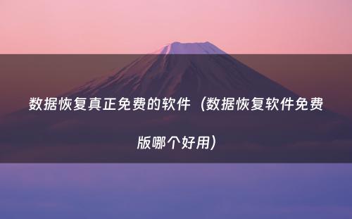 数据恢复真正免费的软件(数据恢复软件免费版哪个好用)