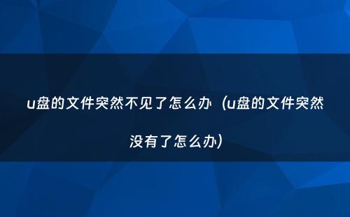 u盘的文件突然不见了怎么办（u盘的文件突然没有了怎么办）