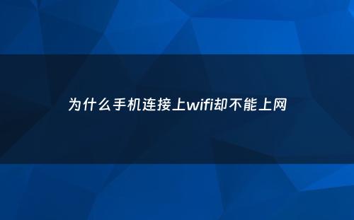 为什么手机连接上wifi却不能上网