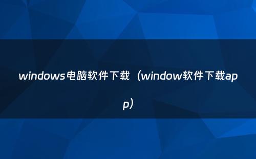 windows电脑软件下载（window软件下载app）