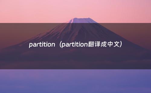 partition（partition翻译成中文）