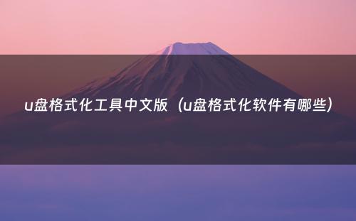 u盘格式化工具中文版（u盘格式化软件有哪些）