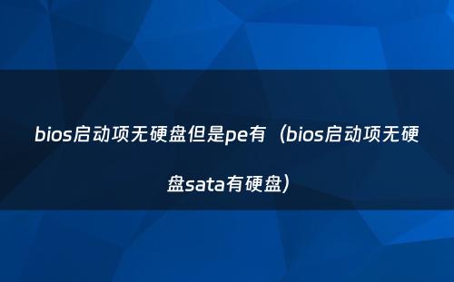 bios启动项无硬盘但是pe有（bios启动项无硬盘sata有硬盘）