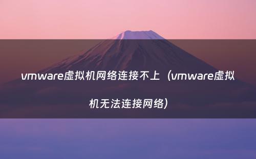 vmware虚拟机网络连接不上(vmware虚拟机无法连接网络)
