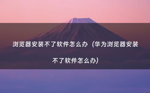 浏览器安装不了软件怎么办（华为浏览器安装不了软件怎么办）