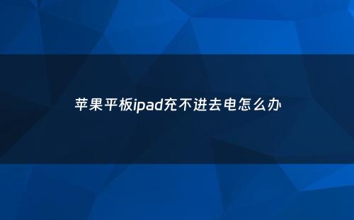 苹果平板ipad充不进去电怎么办