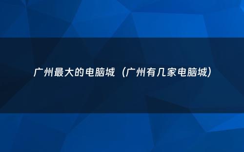 广州最大的电脑城(广州有几家电脑城)