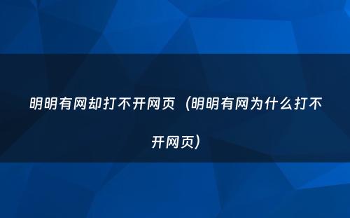 明明有网却打不开网页（明明有网为什么打不开网页）
