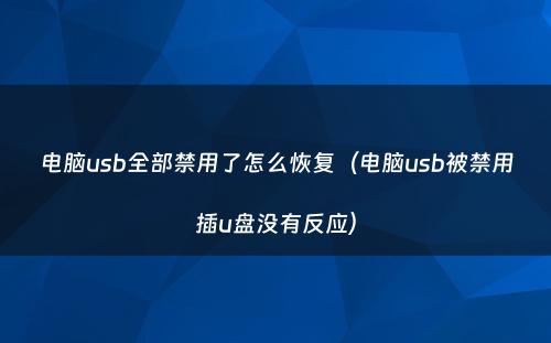 电脑usb全部禁用了怎么恢复(电脑usb被禁用插u盘没有反应)
